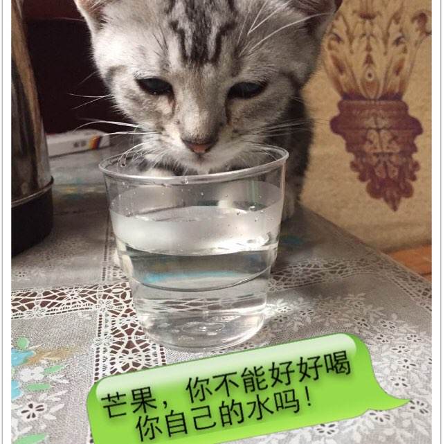 摩德纳音乐学院 Diploma in Environmental Science